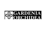 GARDENIA ORCHIDEA